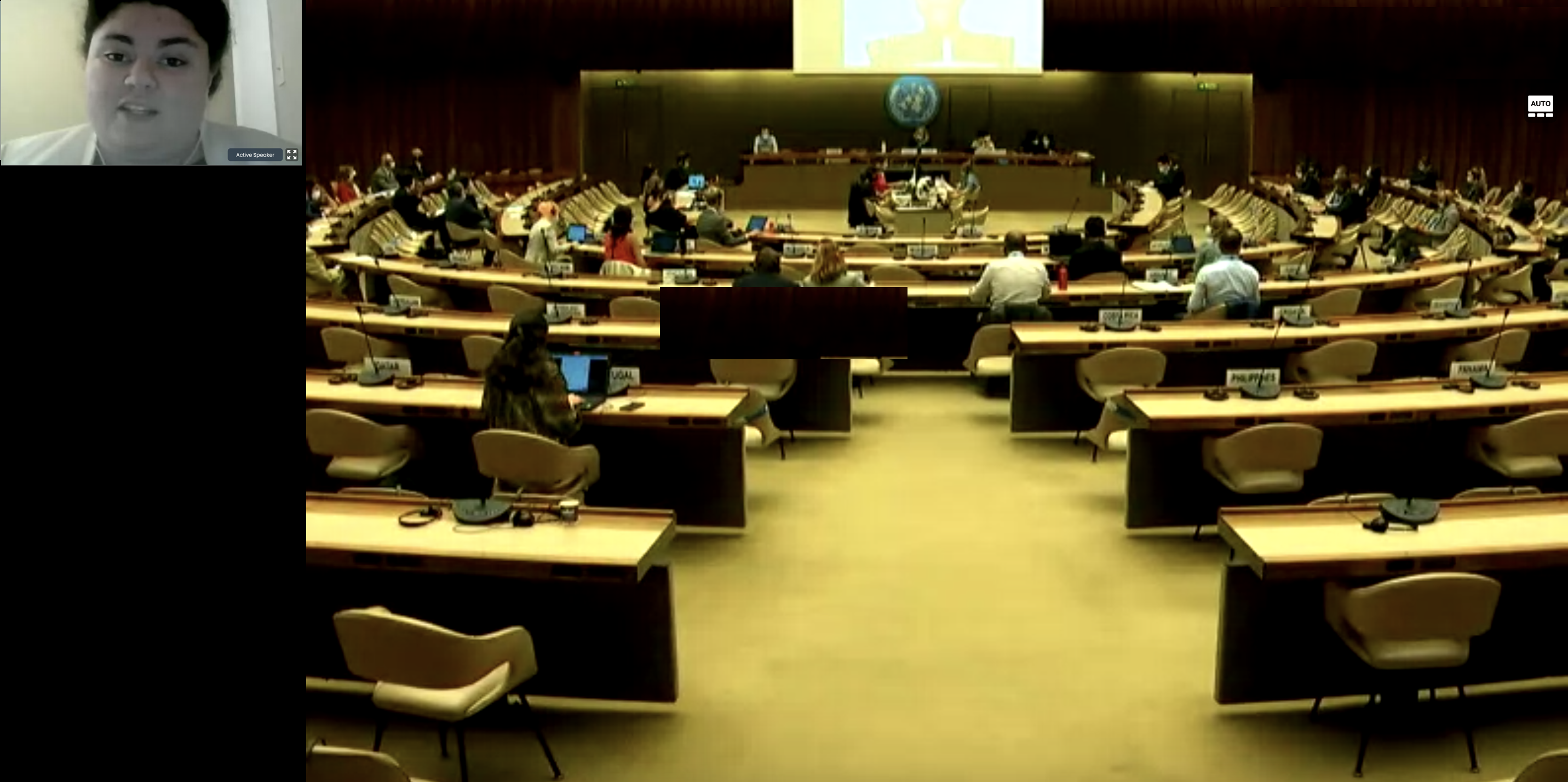UN Youth Champion for Disarmament Christelle Barakat, originally from Lebanon, delivered remarks on the importance of establishing partnerships with youth in establishing a safer, more sustainable world for all.
