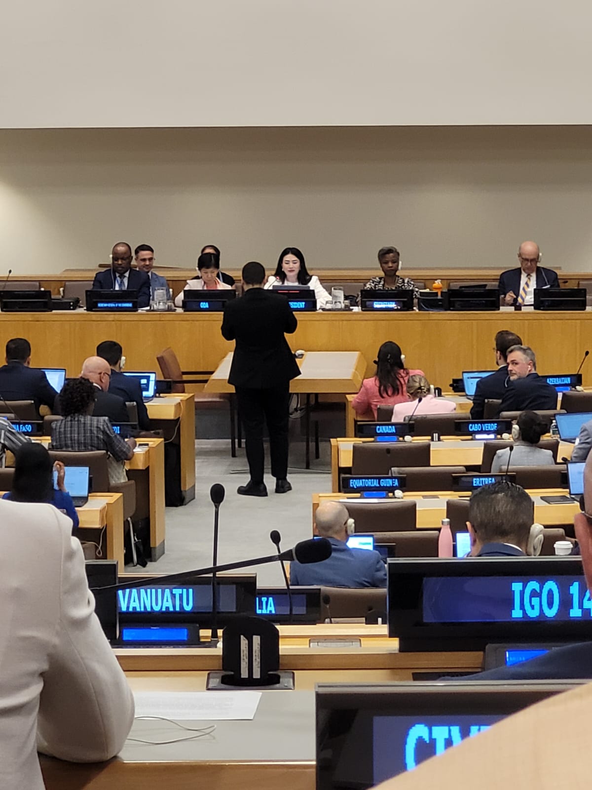 Maritza Chan chairing the session