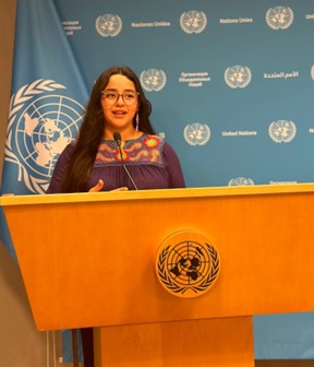 Ms. Meylan Ramos (author) from the press room at UN Headquarters.