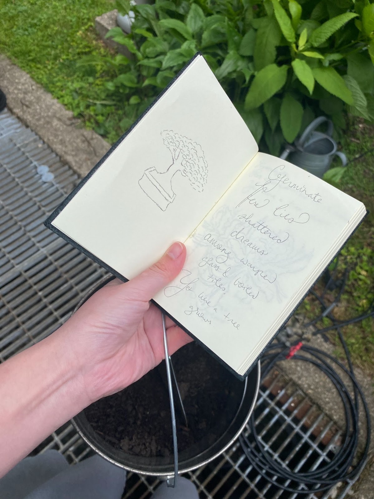 A hand holding a book

AI-generated content may be incorrect., Picture