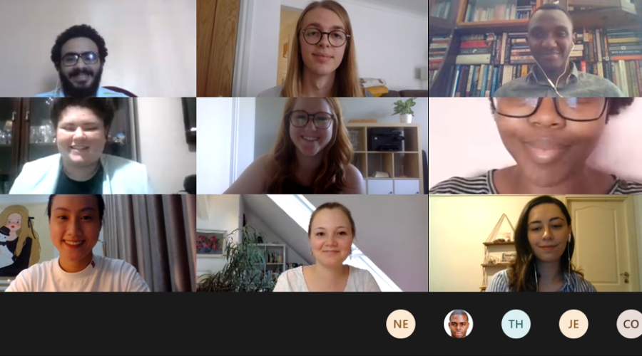 Virtual Meeting of Youth Champions